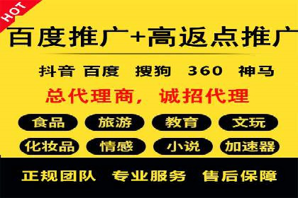 专业SEM服务托管方案案例分析